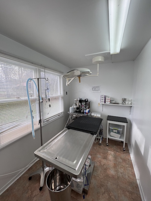 Sharon Vet operating room